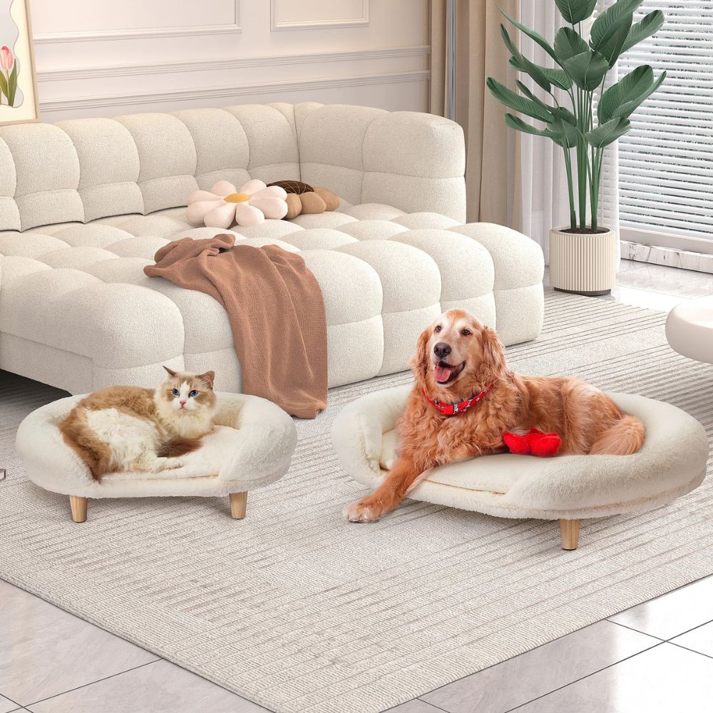 Two round pet beds with wooden legs are shown in a bright living room. A fluffy cat rests in one bed, and a golden retriever dog lies in the other bed.