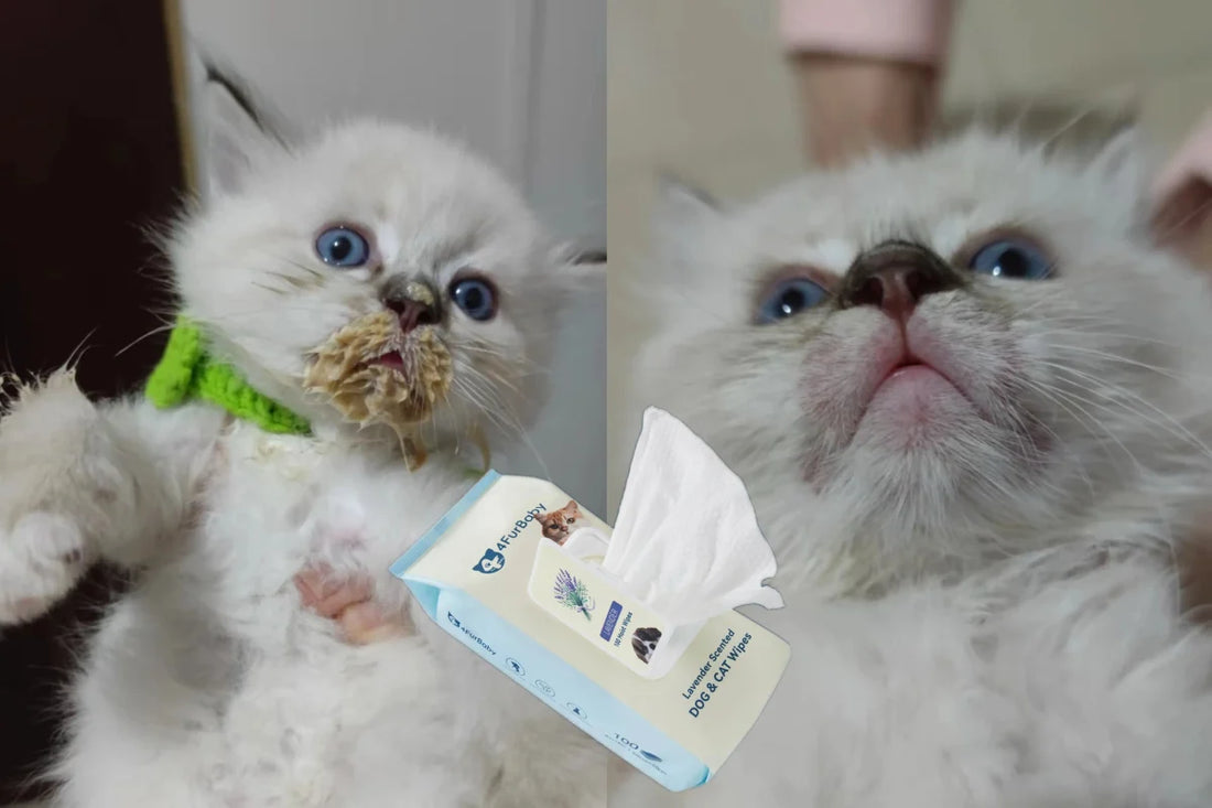 4FurBaby Plant-Based Pet Grooming Wipes – 400ct
