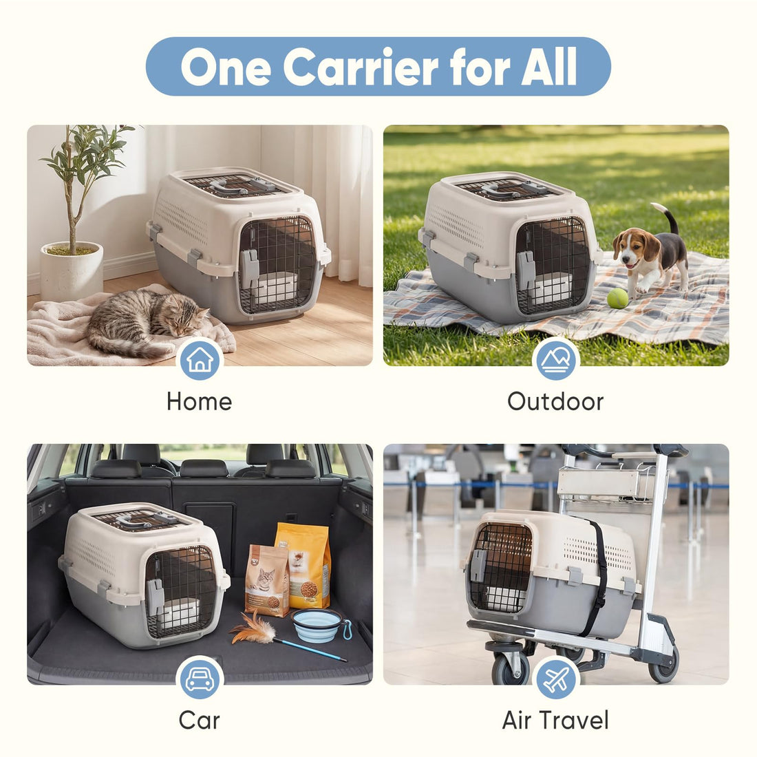 Airline-Approved Small Dog & Cat Carrier