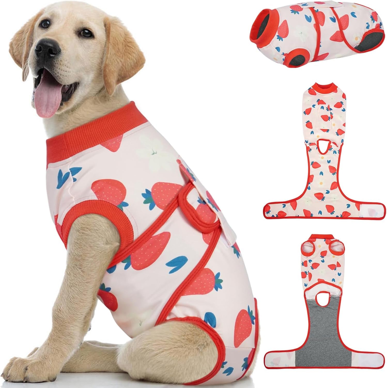 Female Dog Recovery Suit After Spay, XS–2XL