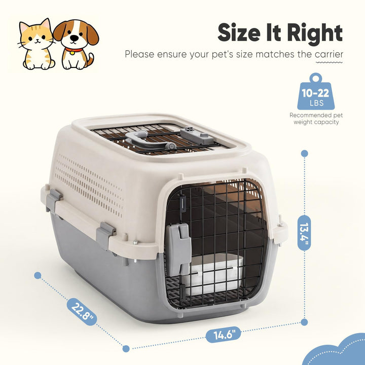Airline-Approved Small Dog & Cat Carrier