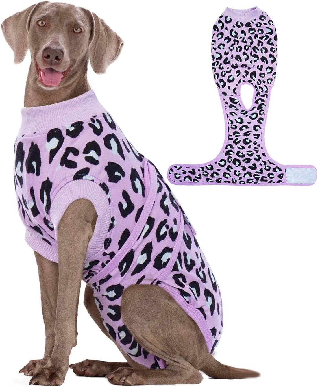 Dog Recovery Suit After Surgery – 4 Colors, XS–2XL