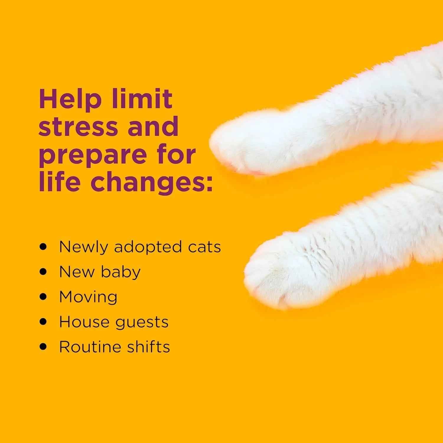 Cat Calming Diffuser Value Kit – 3 Plug-Ins & 6 Refills for Anxiety Relief