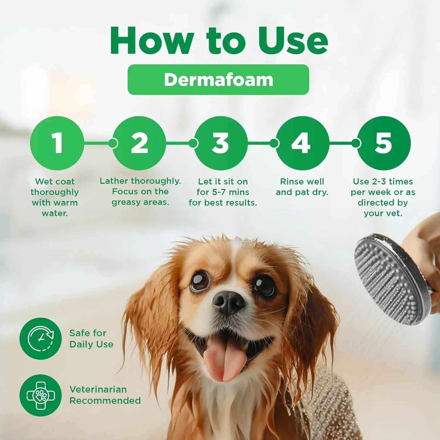 Chlorhexidine Medicated Dog Shampoo – Itch, Allergies & Hot Spots, 16.9oz