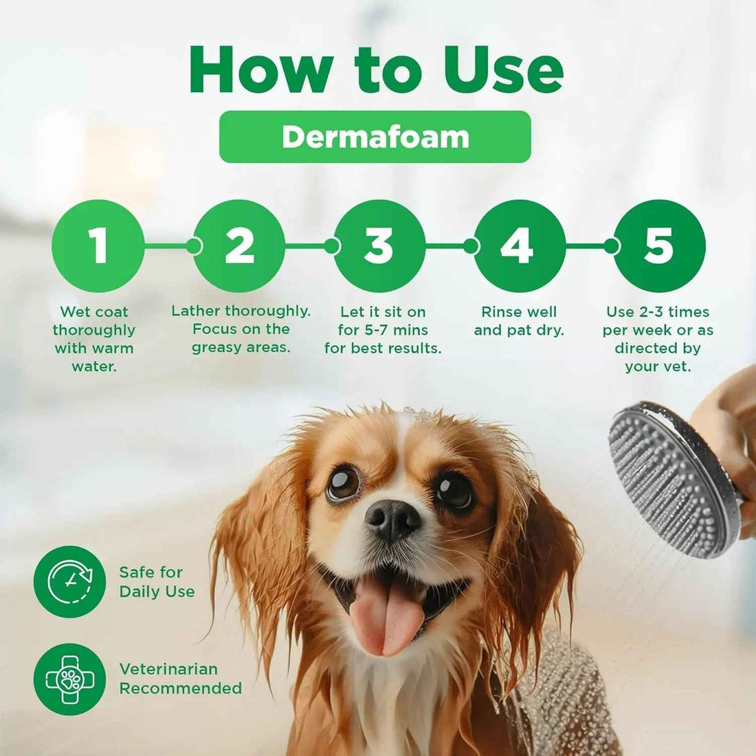 Chlorhexidine Medicated Dog Shampoo – Itch, Allergies & Hot Spots, 16.9oz