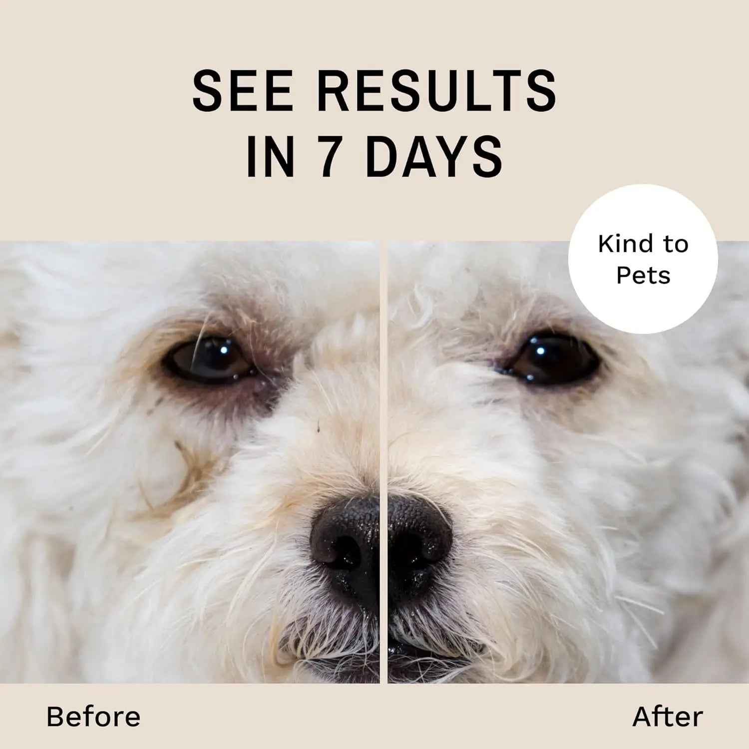 Eye Envy Dog Tear Stain Remover Kit w Brush Pads Powder 30–45 Day