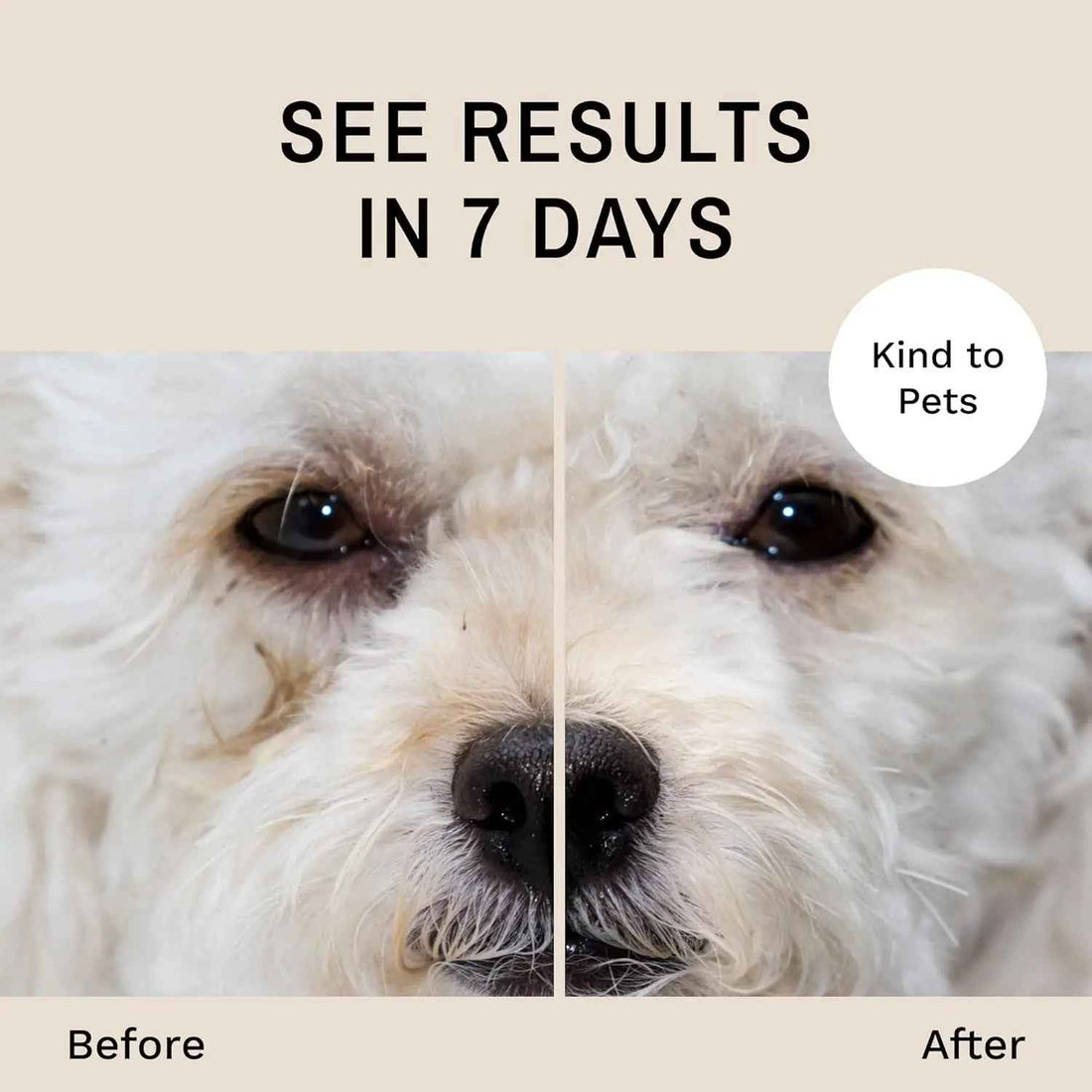 Eye Envy Dog Tear Stain Remover Kit w Brush Pads Powder 30–45 Day