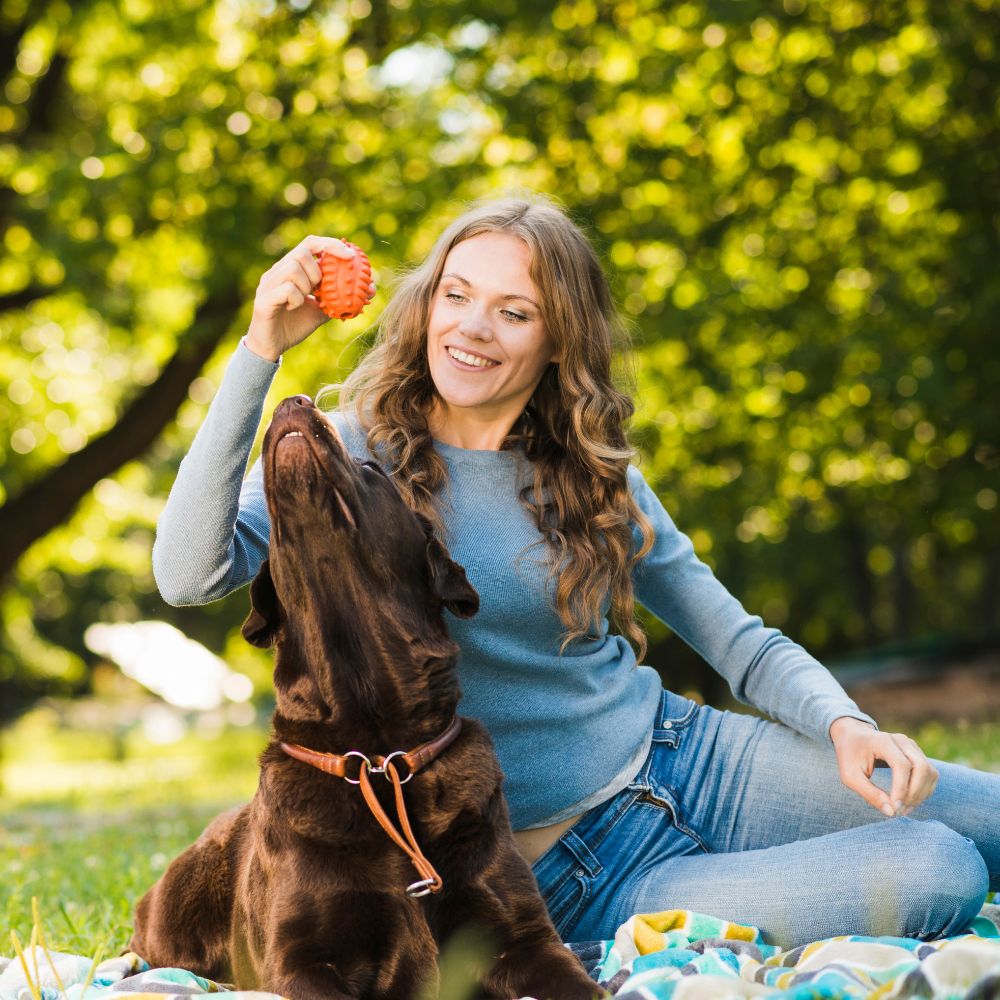 Woman playing with a dog in a park