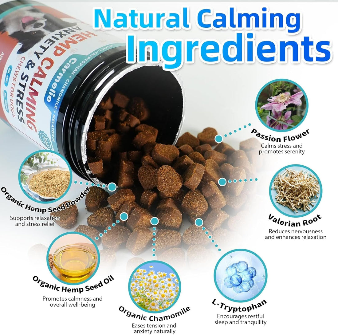 Hemp Calming Chews for Dogs — Natural Anxiety & Stress Relief | 200 Count