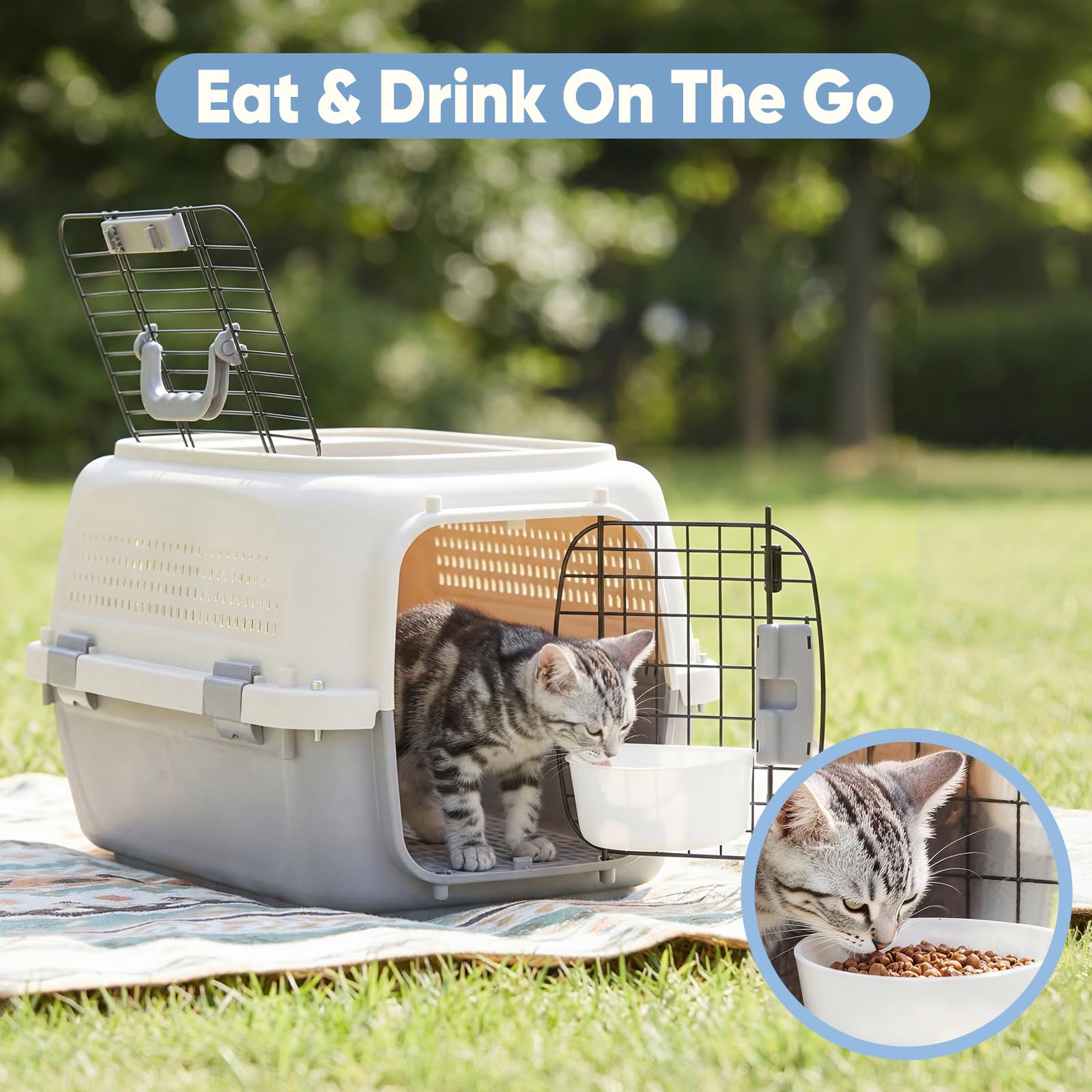Airline-Approved Small Dog & Cat Carrier