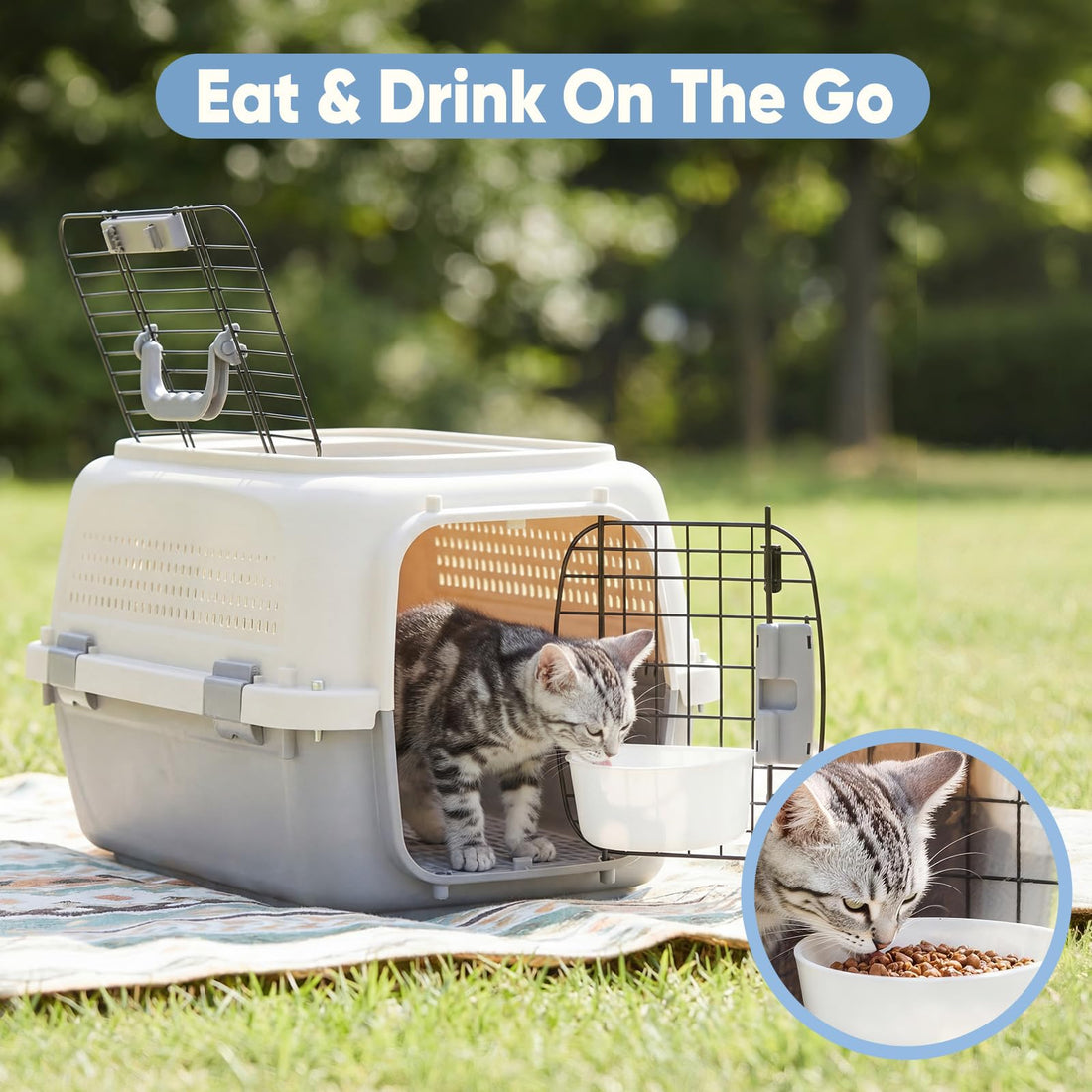 Airline-Approved Small Dog & Cat Carrier