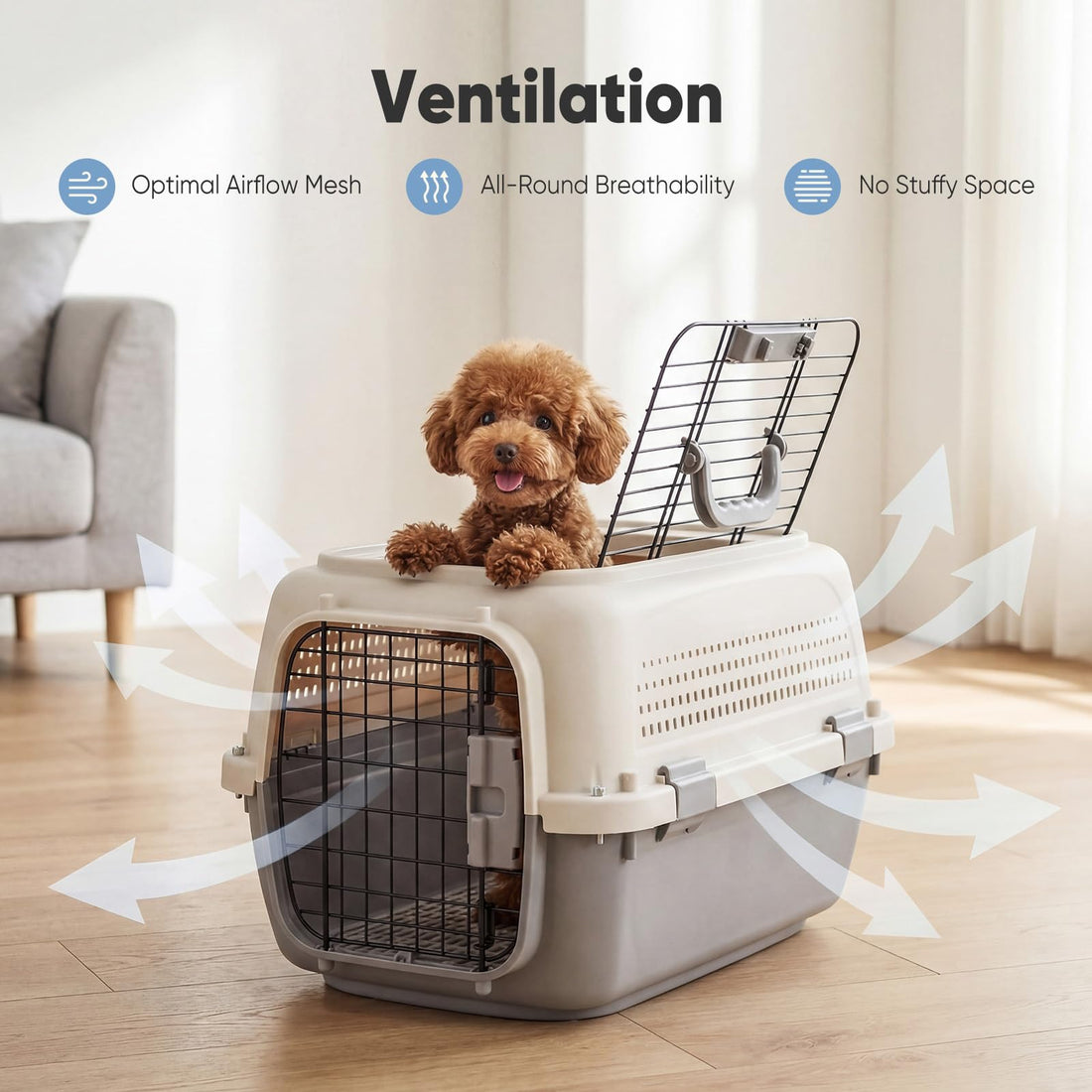Airline-Approved Small Dog & Cat Carrier