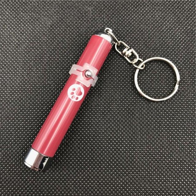 LED Laser Pointer Interactive Cat & Dog Toy