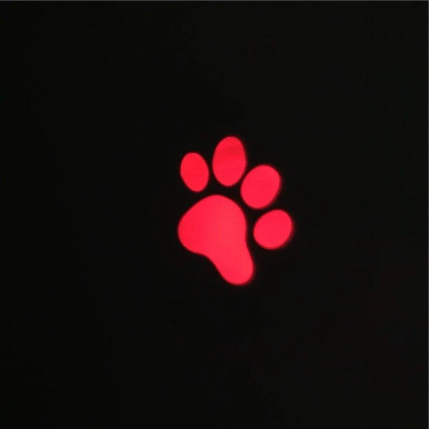 LED Laser Pointer Interactive Cat & Dog Toy