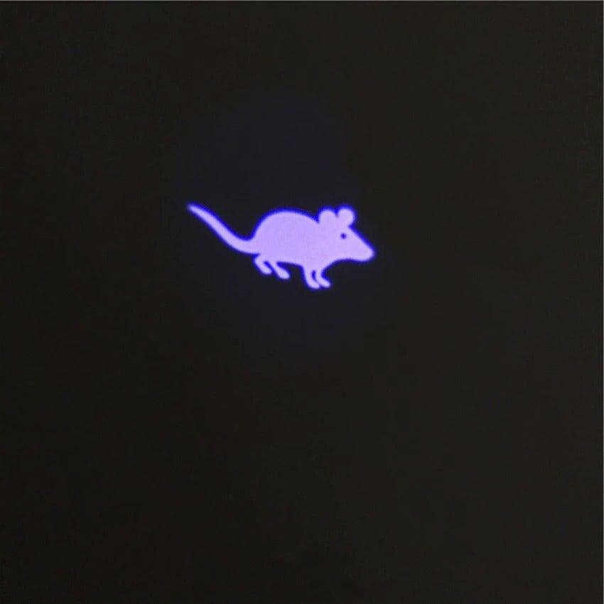 LED Laser Pointer Interactive Cat & Dog Toy