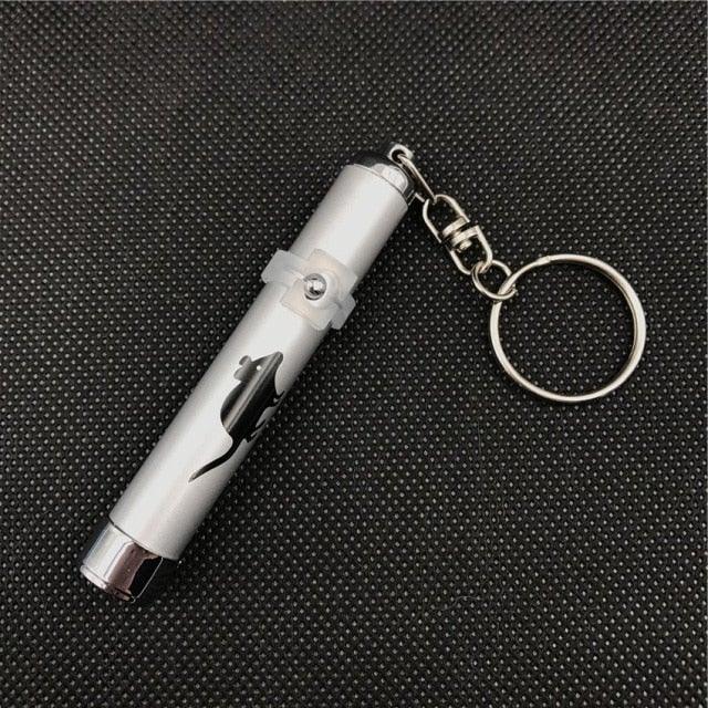 LED Laser Pointer Interactive Cat & Dog Toy