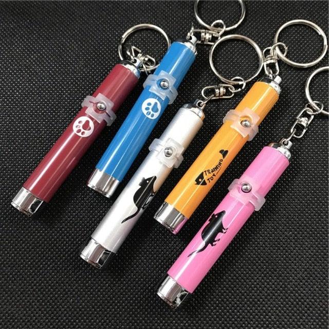 LED Laser Pointer Interactive Cat & Dog Toy