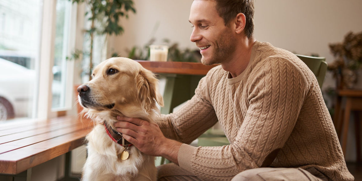 A smiling man in a beige cable-knit sweater sits indoors next to a golden retriever dog, gently petting its head. The scene is set in a warm, softly lit room with wooden furniture and plants in the background.