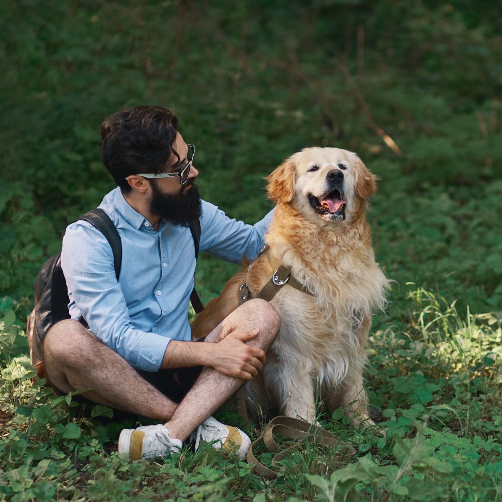 A man with a beard and glasses sits on the ground in a green outdoor setting next to a golden retriever dog wearing a harness.