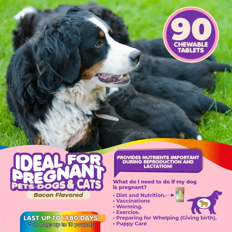 Multivitamin for Dogs & Cats. Prenatal Vitamins. 90 Tabs