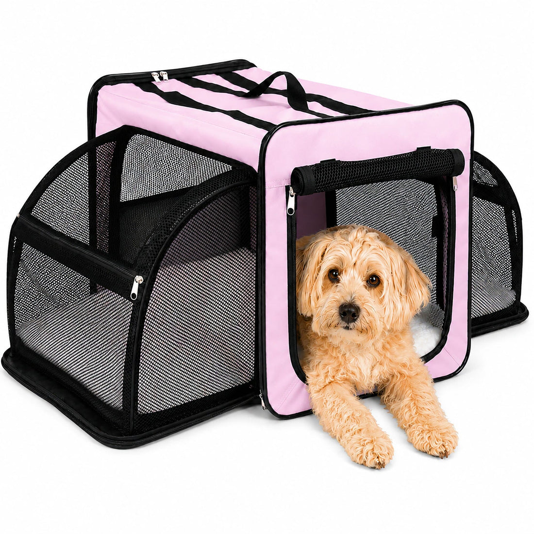 Pet Life Capacious Expandable Folding Pet Crate